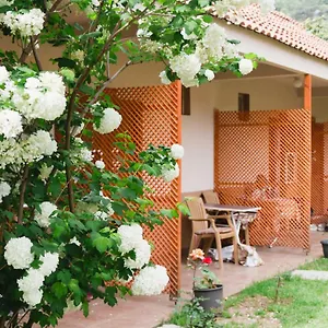  Проживание в семье Village Garden Турция